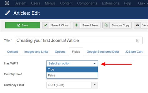 acf true false|Show All Posts with True on True/False Field .
